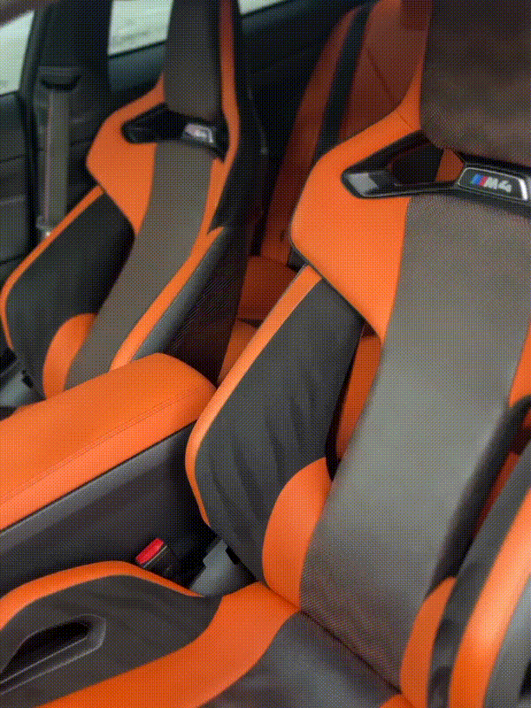 Professional Detailing